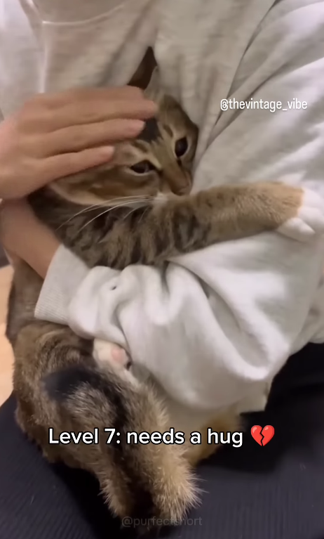 @thevintage_vibe Level 7: needs a hug @purfectshort
