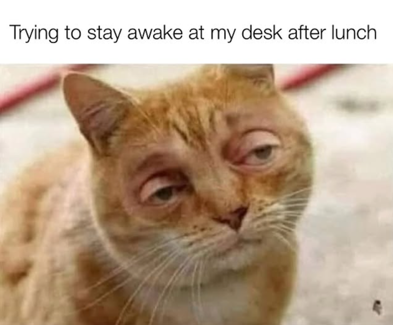Trying to stay awake at my desk after lunch