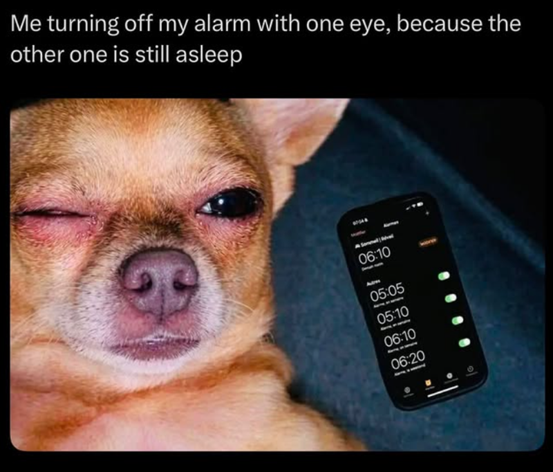 Me turning off my alarm with one eye, because the other one is still asleep G 06:10 Aim 05:05 05:10 06:10 06:20