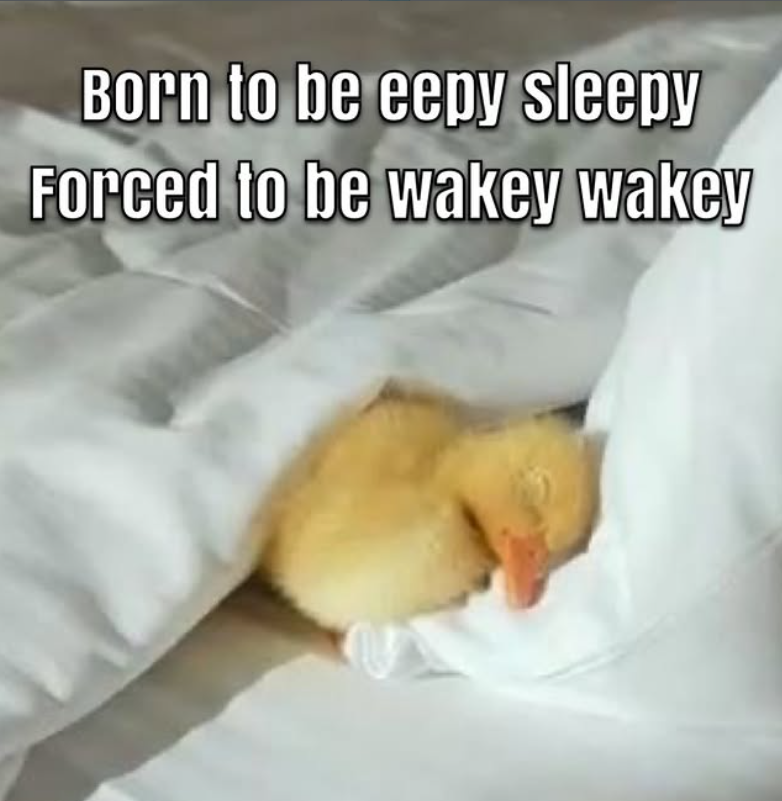 Born to be eepy sleepy Forced to be wakey wakey