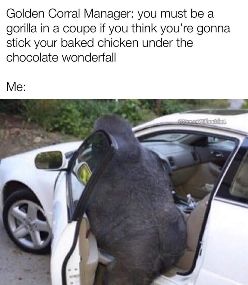 Golden Corral Manager: you must be a gorilla in a coupe if you think you're gonna stick your baked chicken under the chocolate wonderfall Me: @Samon Without Thel