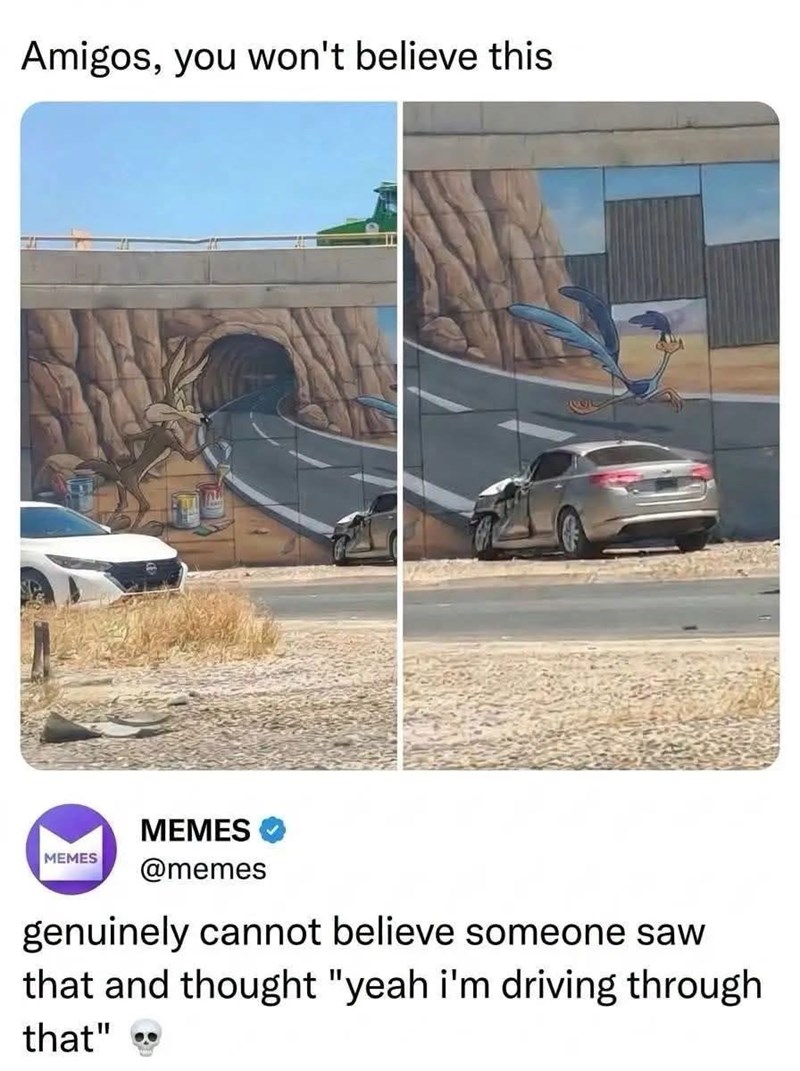 Amigos, you won't believe this MEMES MEMES @memes genuinely cannot believe someone saw that and thought "yeah i'm driving through that" **
