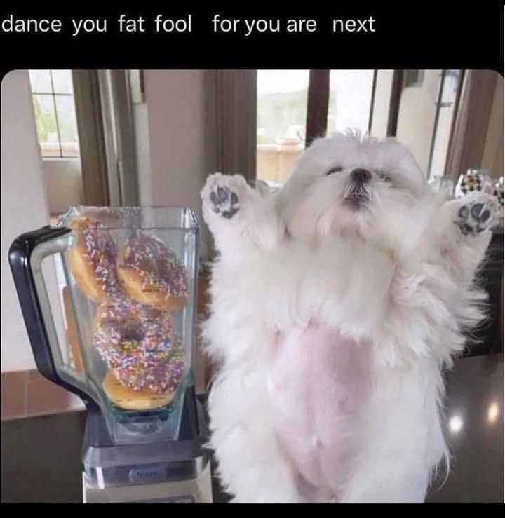 dance you fat fool for you are next