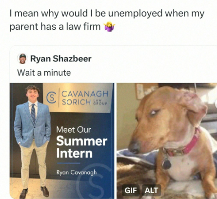 I mean why would I be unemployed when my parent has a law firm Ryan Shazbeer Wait a minute € CAVANAGH LAW SORICH ROUP Meet Our Summer Intern Ryan Cavanagh S GIF ALT