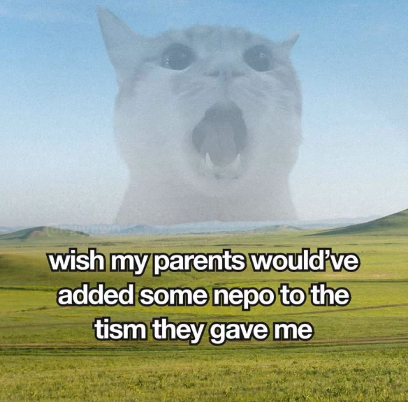 wish my parents would've added some nepo to the tism they gave me