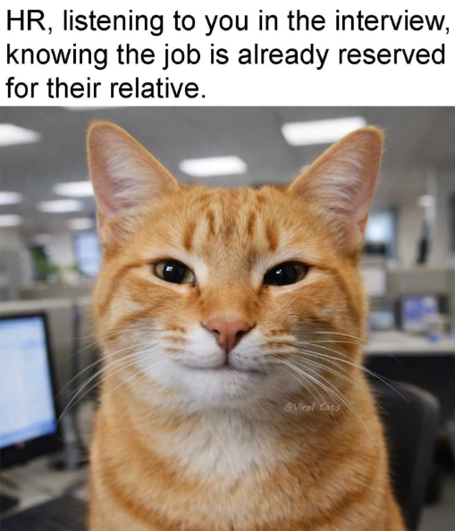 HR, listening to you in the interview, knowing the job is already reserved for their relative. @Viral Cats