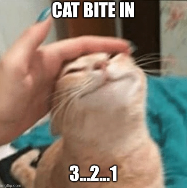 CAT BITE IN imgflip.com 3...2...1