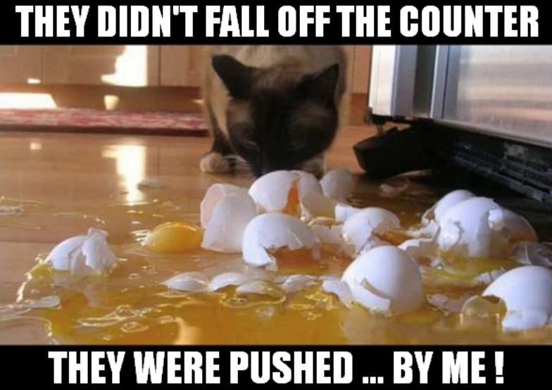 THEY DIDN'T FALL OFF THE COUNTER THEY WERE PUSHED ... BY ME!