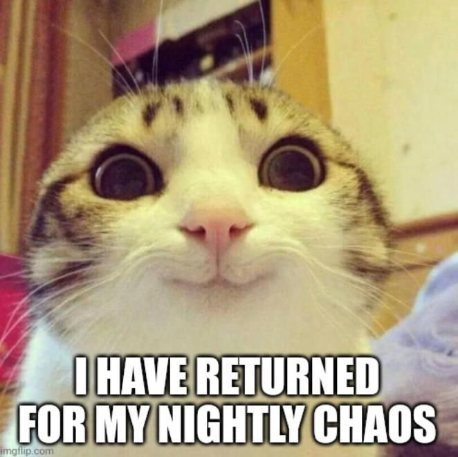 I HAVE RETURNED FOR MY NIGHTLY CHAOS imgflip.com