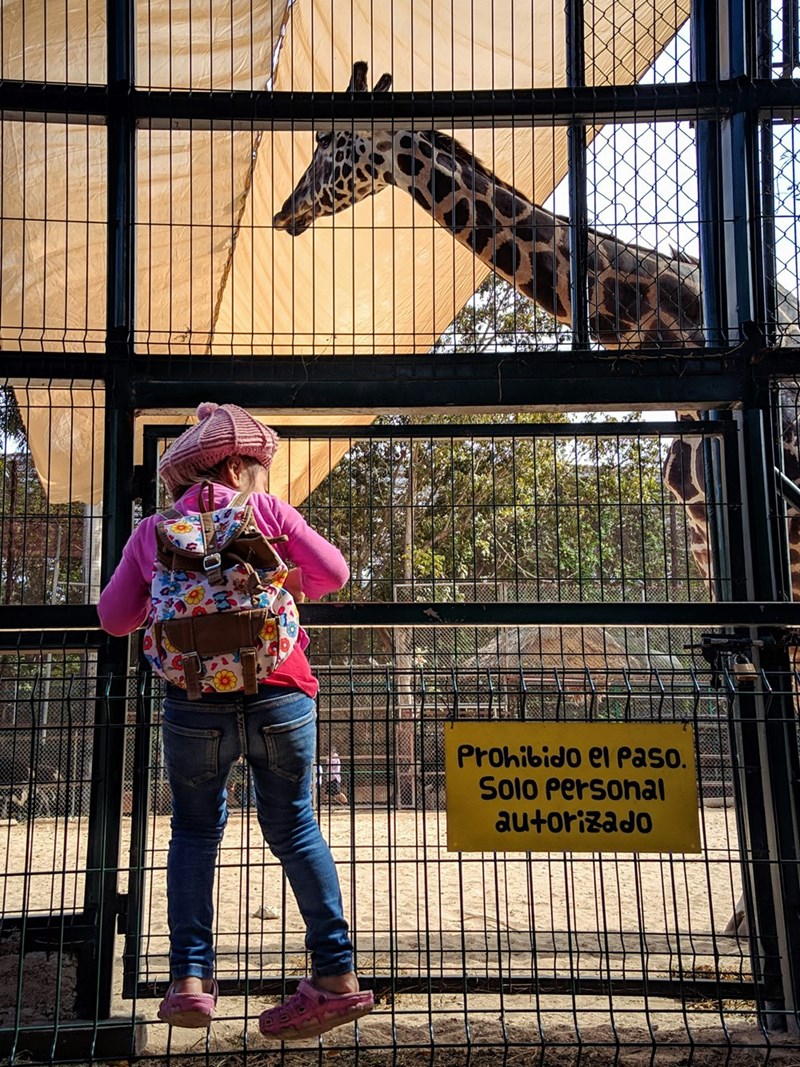 picture of a zoo