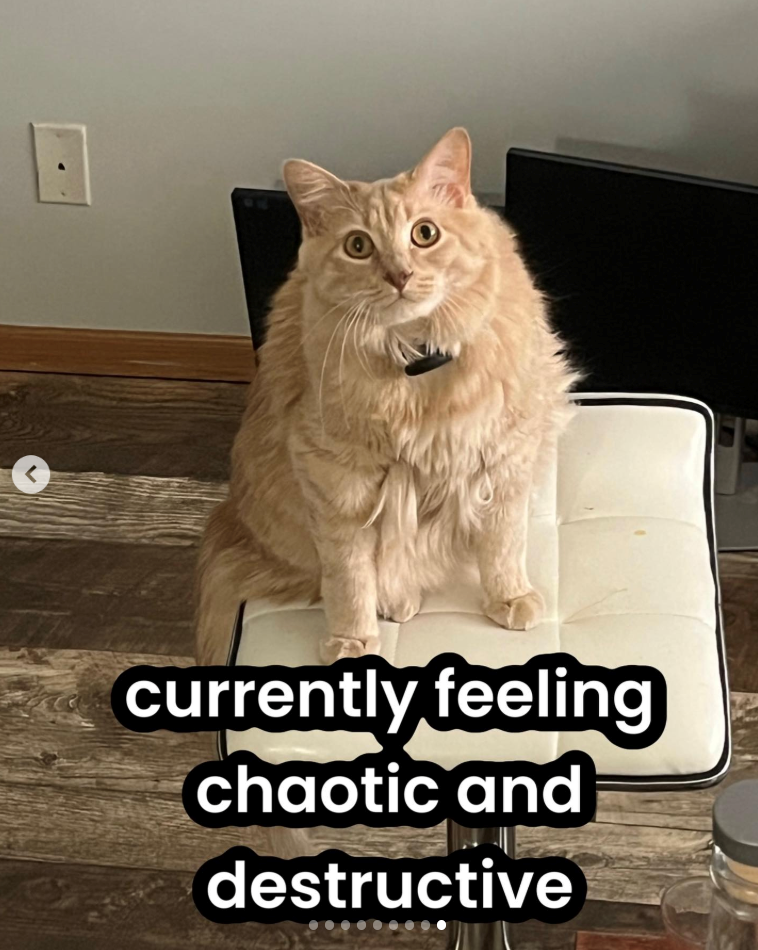 currently feeling chaotic and destructive