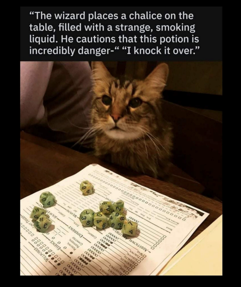 "The wizard places a chalice on the table, filled with a strange, smoking liquid. He cautions that this potion is incredibly danger-“ “I knock it over." POLAND R 5 00000000000000000000000000000000 00000 00000 0000 000 WILLPOWER 0000000 00000 0000000000 ESSENCE- 00000 MIT TRIGGER 00000 . 0000 00000 00000 00000 PERSONAL PERIPHERAL COMMITTED 00000 -EXPERIENCE SOLAR ENE 00000 CURRENT 00000 CURRENT 00000 00000 0000 00000 00000 -ADDITIONAL OTHROWN OWAR OSURVIVAL ESENCE RESISTANCE ORID OSAIL SOCIALIZE