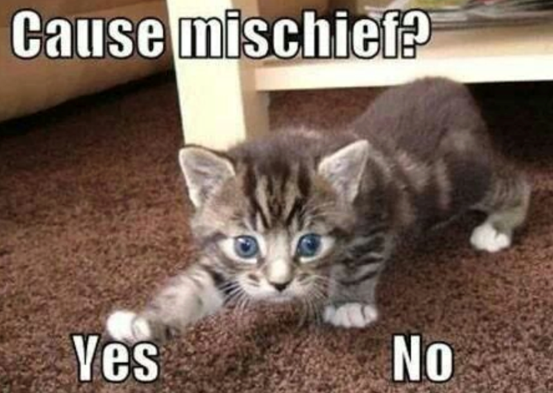 Cause mischief? Yes No