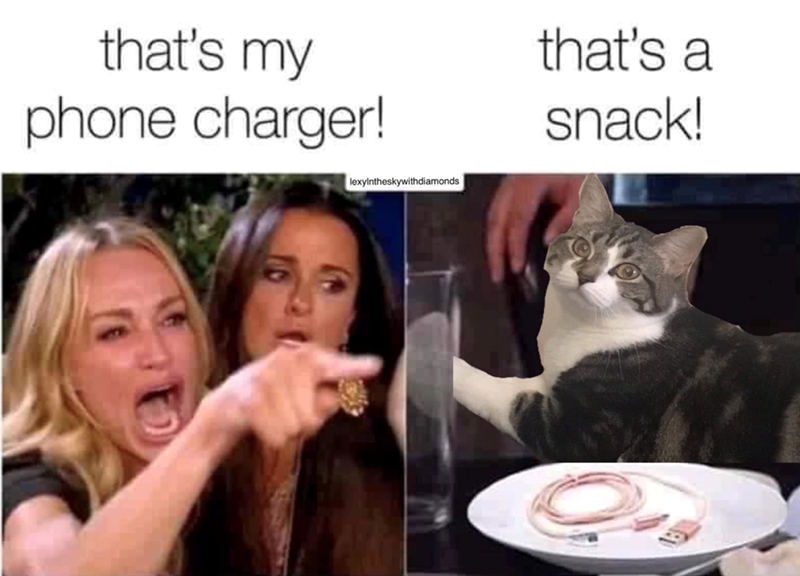 that's my phone charger! lexylntheskywithdiamonds that's a snack!