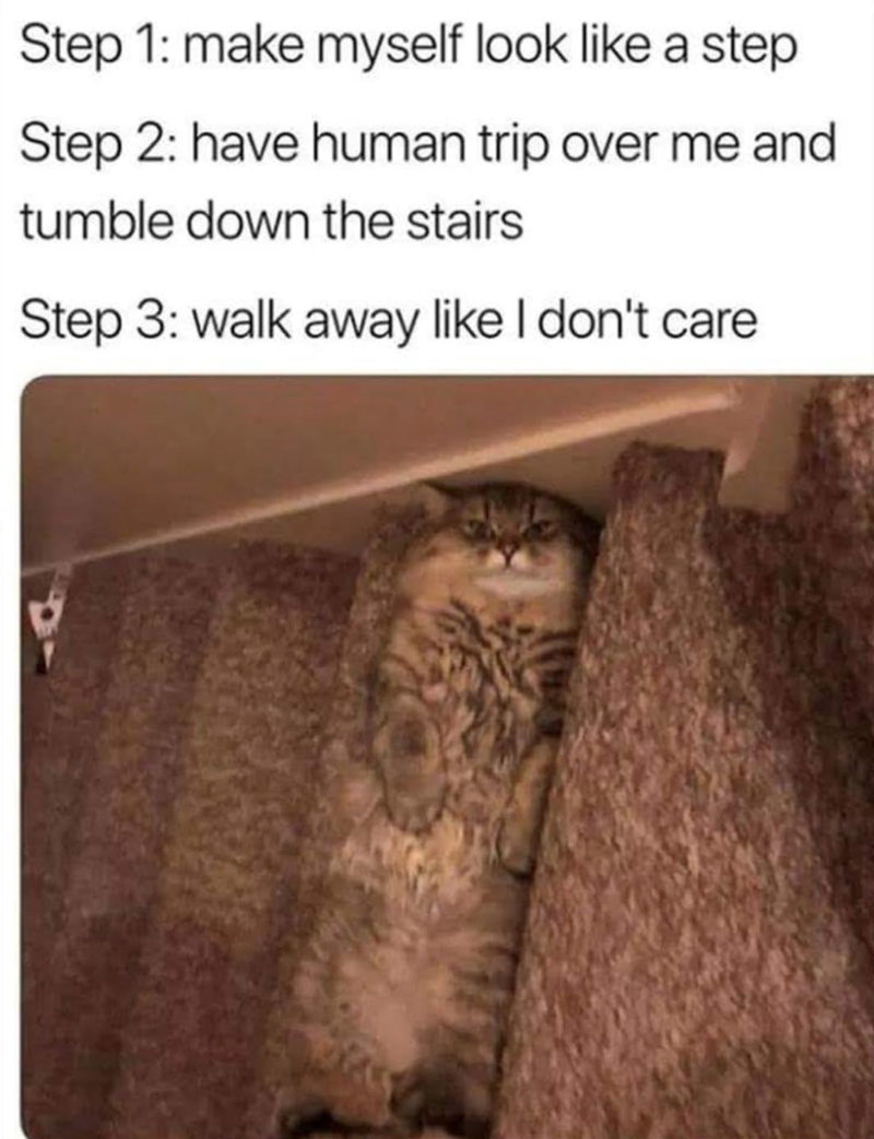 Step 1: make myself look like a step Step 2: have human trip over me and tumble down the stairs Step 3: walk away like I don't care