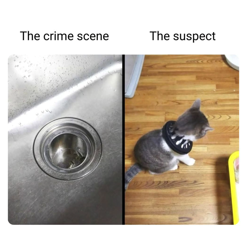 The crime scene The suspect