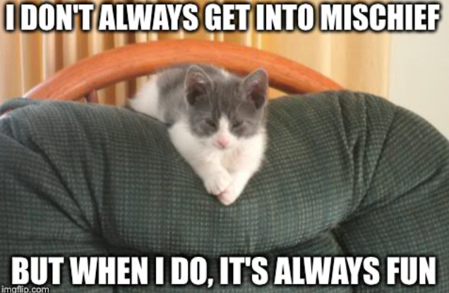 I DON'T ALWAYS GET INTO MISCHIEF BUT WHEN I DO, IT'S ALWAYS FUN imgflip.com