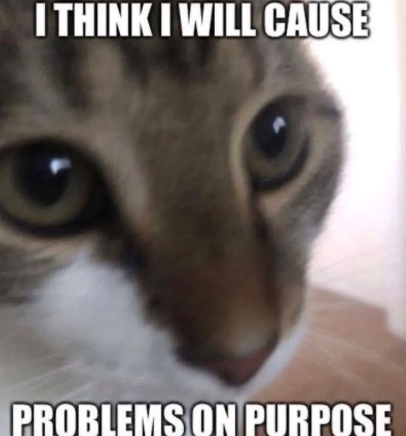 I THINK I WILL CAUSE PROBLEMS ON PURPOSE
