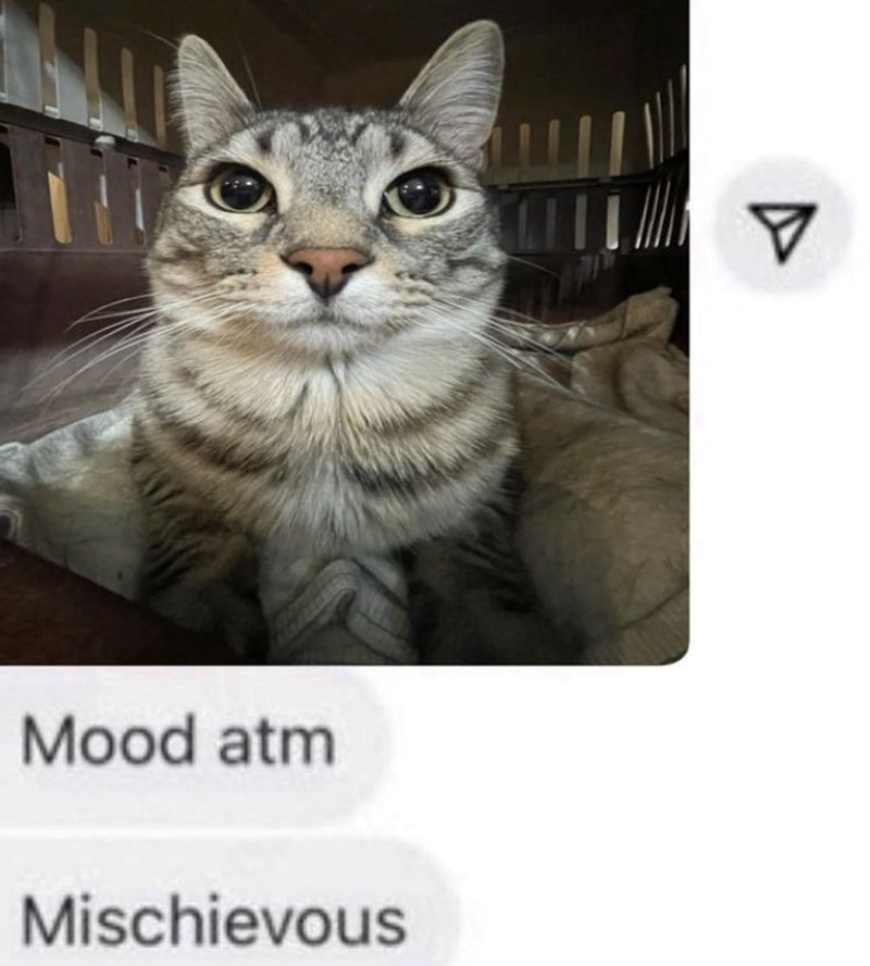 Mood atm Mischievous