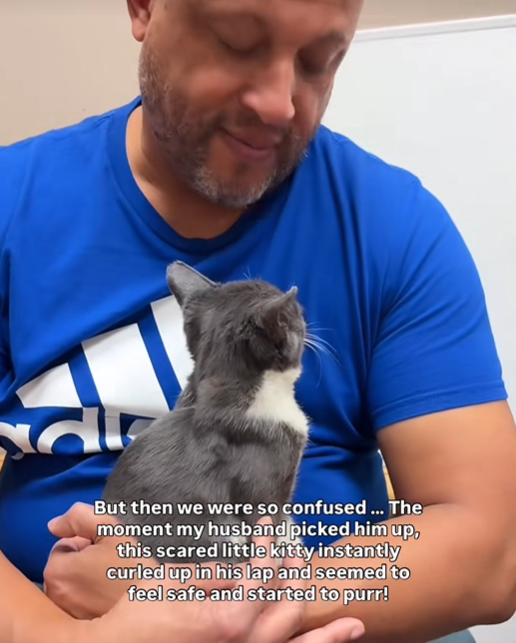 But then we were so confused... The moment my husband picked him up, this scared little kitty instantly curled up in his lap and seemed to feel safe and started to purr!