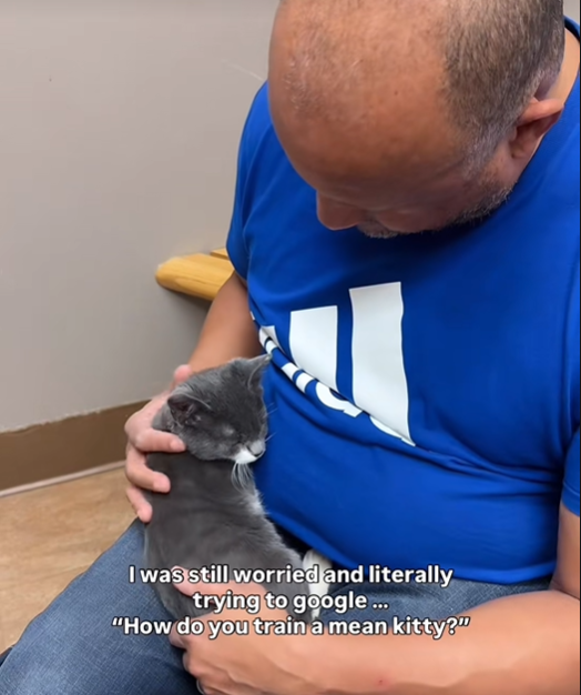 I was still worried and literally trying to google... "How do you train a mean kitty?"