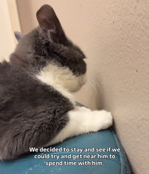 We decided to stay and see if we could try and get near him to spend time with him.