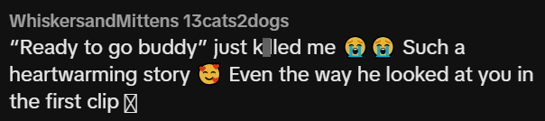 WhiskersandMittens 13cats2dogs "Ready to go buddy" just k led me Such a heartwarming story Even the way he looked at you in the first clip