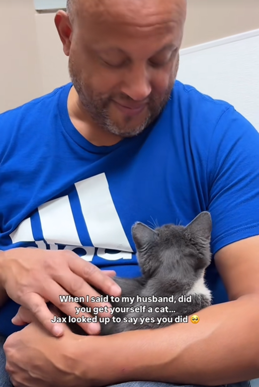 When I said to my husband, did you get yourself a cat... Jax looked up to say yes you did