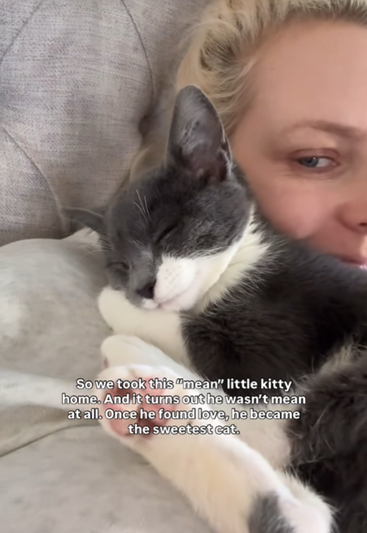 So we took this "mean" little kitty home. And it turns out he wasn't mean at all. Once he found love, he became the sweetest cat.
