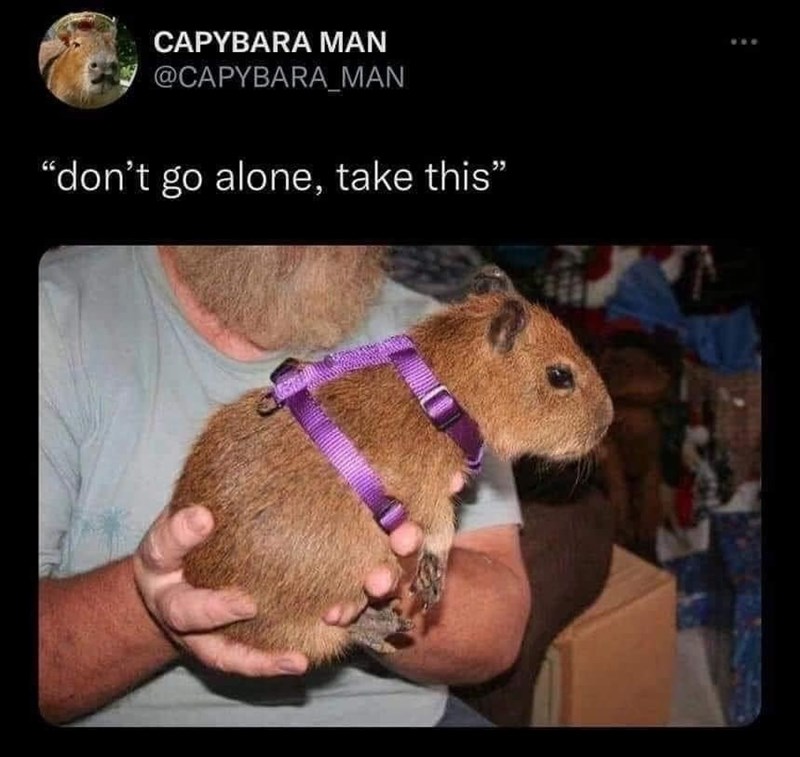 CAPYBARA MAN @CAPYBARA_MAN "don't go alone, take this"