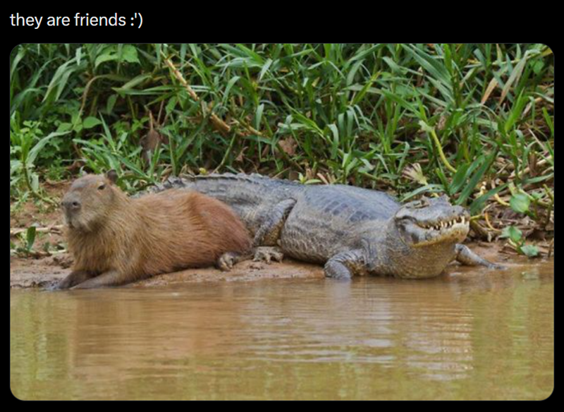 they are friends :')