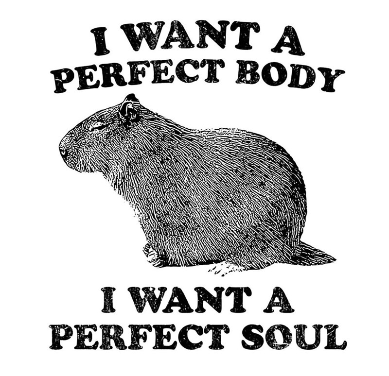 I WANT A PERFECT BODY I WANT A PERFECT SOUL