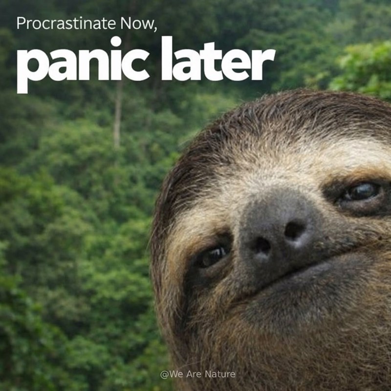 Procrastinate Now, panic later @We Are Nature