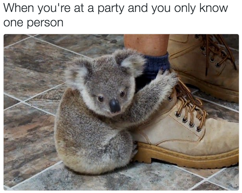 When you're at a party and you only know one person