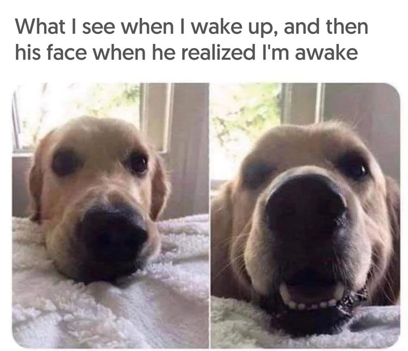 What I see when I wake up, and then his face when he realized I'm awake