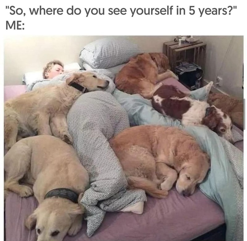 "So, where do you see yourself in 5 years?" ME: