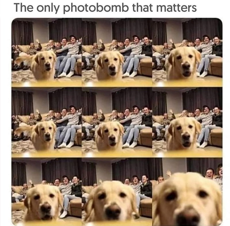 The only photobomb that matters