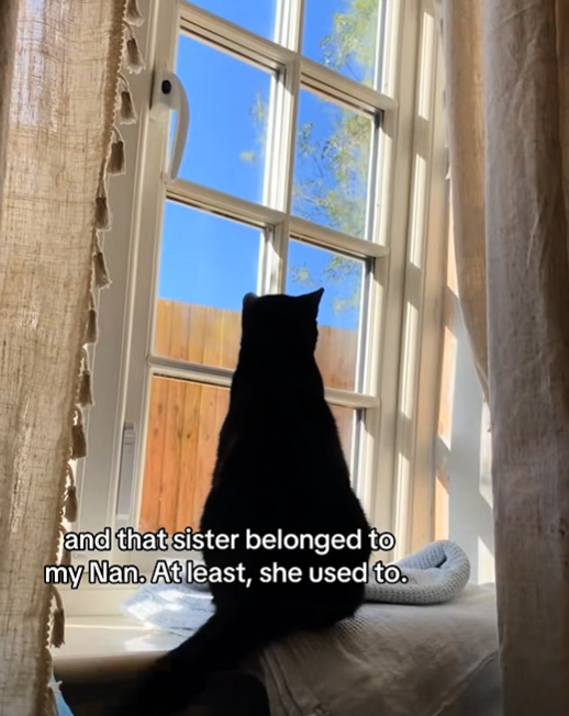 and that sister belonged to my Nan. At least, she used to.