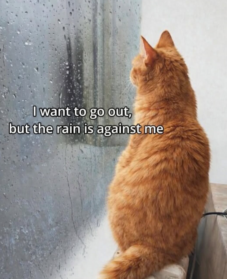 I want to go out, but the rain is against me