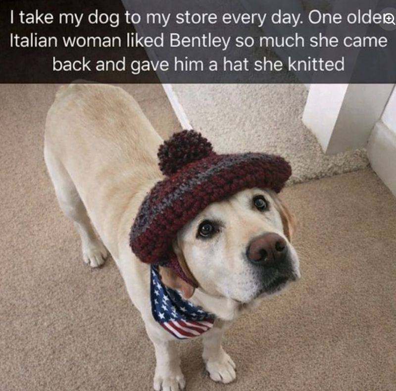 I take my dog to my store every day. One olde Italian woman liked Bentley so much she came back and gave him a hat she knitted