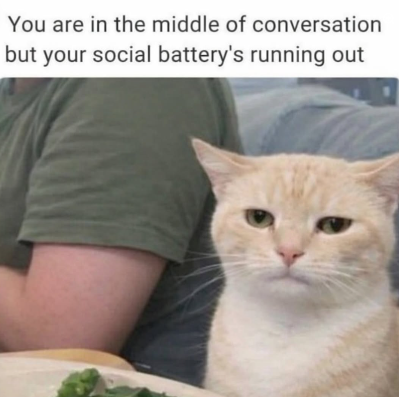 You are in the middle of conversation but your social battery's running out