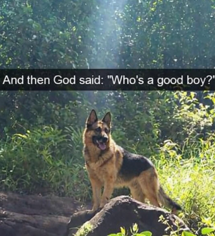 And then God said: "Who's a good boy?"
