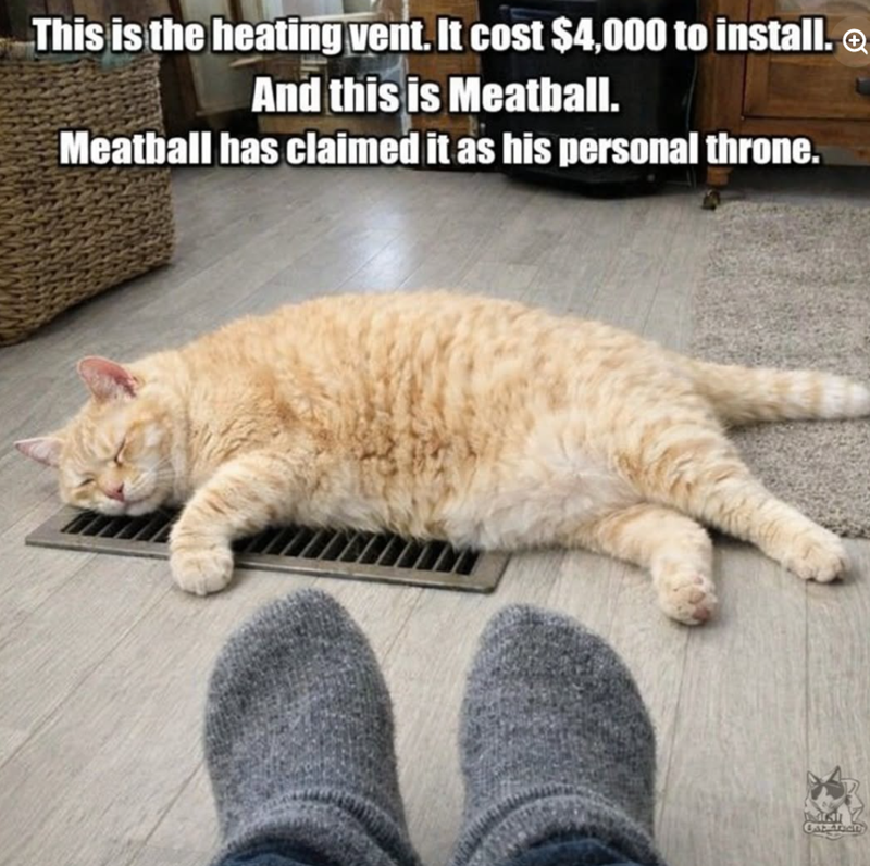 This is the heating vent. It cost $4,000 to install. And this is Meatball. Meatball has claimed it as his personal throne.