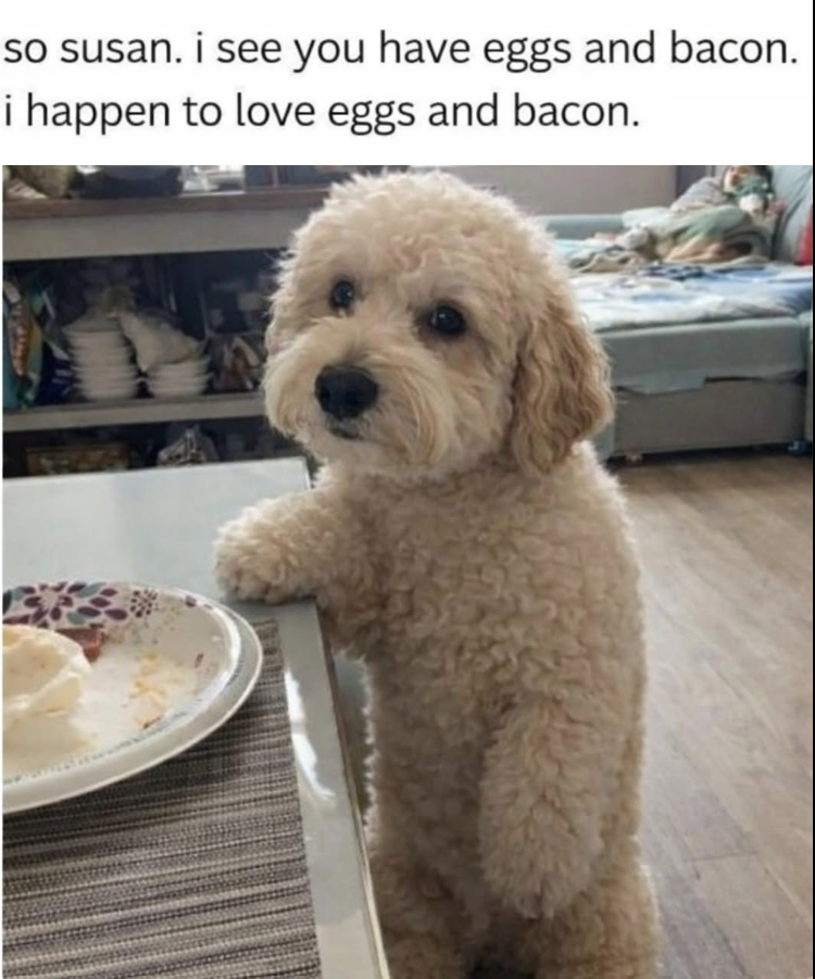 so susan. i see you have eggs and bacon. i happen to love eggs and bacon.