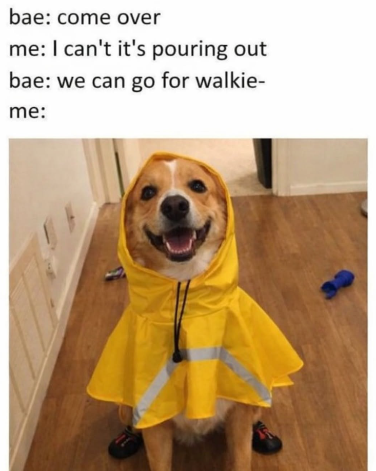 bae: come over me: I can't it's pouring out bae: we can go for walkie- me: