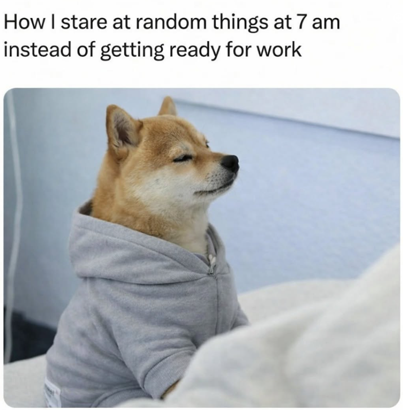 How I stare at random things at 7 am instead of getting ready for work