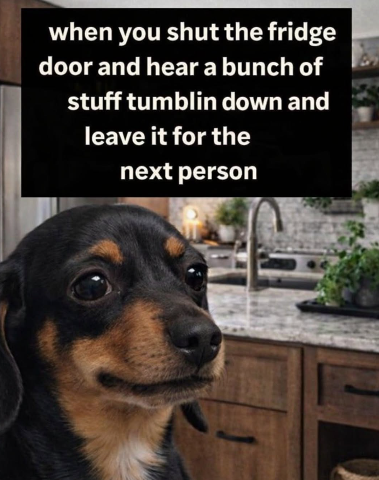 when you shut the fridge door and hear a bunch of stuff tumblin down and leave it for the next person