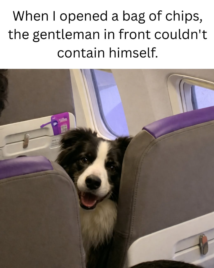 When I opened a bag of chips, the gentleman in front couldn't contain himself. pa