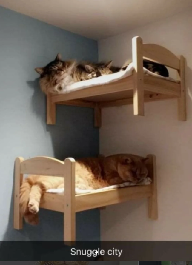 Snuggle city