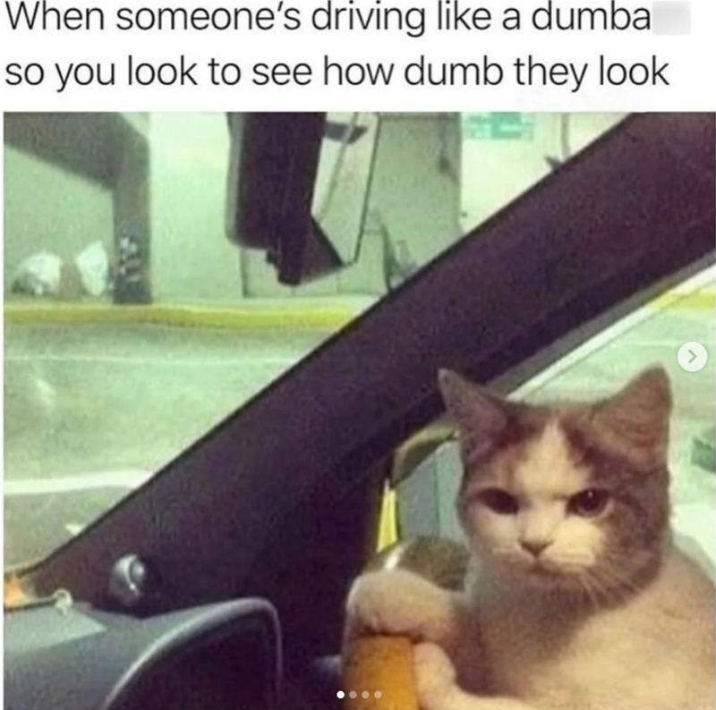 When someone's driving like a dumba so you look to see how dumb they look <
